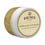 Marigold and Propolis Ointment 50 ml, Faunus Plant