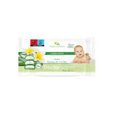 Aloe Vera Wet Wipes Jumbo Pack, 72 pcs, Doctor Wipes