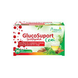 Naturalis GlucoSupport Tea x 20 pl