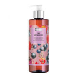 Champú y gel de ducha, con extracto de saúco negro, Power Berries, 400 ml, Biobaza