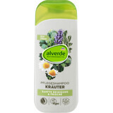 Alverde Naturkosmetik Herbal Shampoo, 200 ml
