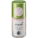 Alverde Naturkosmetik Nail Regeneration Serum with Calcium, 10 ml