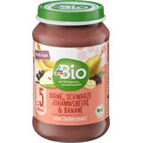 DmBio Pear puree with currants and bananas, 190 g