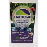 Diaphytosan, 60 capsule, Evicom