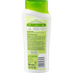 Balea Freshness Shampoo, 300 ml