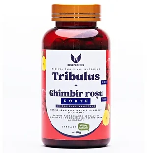 Tribulus 800 und Roter Ingwer 200 Forte, 1000 mg, 60 Kapseln, Blue Phoenix