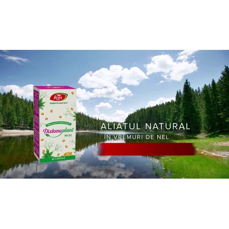 Distonoplant, N152, 60 capsules, Fares