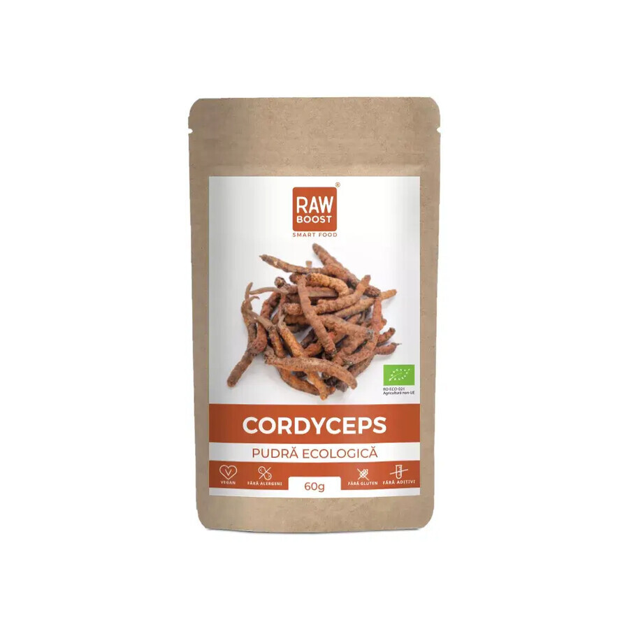 Winkel op Cordyceps organisch poeder, 60 gr, Rawboost Cordyceps organisch poeder, 60 gr, Rawboost