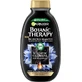 Garnier Botanic Therapy Champú Carbón magnético y aceite de semillas negras, 250 ml