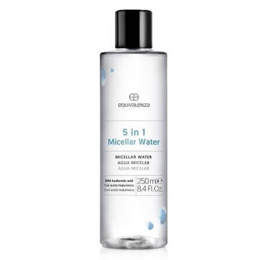 Acquista Acqua micellare 5 in 1 con acido ialuronico, 250 ml, Equivalenza Acqua micellare 5 in 1 con acido ialuronico, 250 ml, Equivalenza