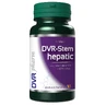DVR-Leberstamm, 60 Kapseln, DVR Pharm