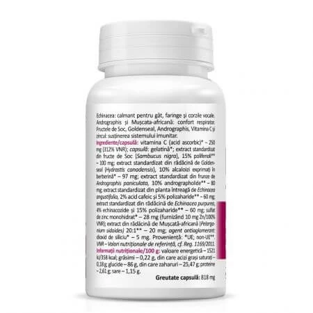 Echinacea with Elderberry and African Flytrap 700mg, 30 capsules, Zenyth