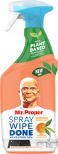 Mr.Proper Multi-surface spray mandarin, 800 ml