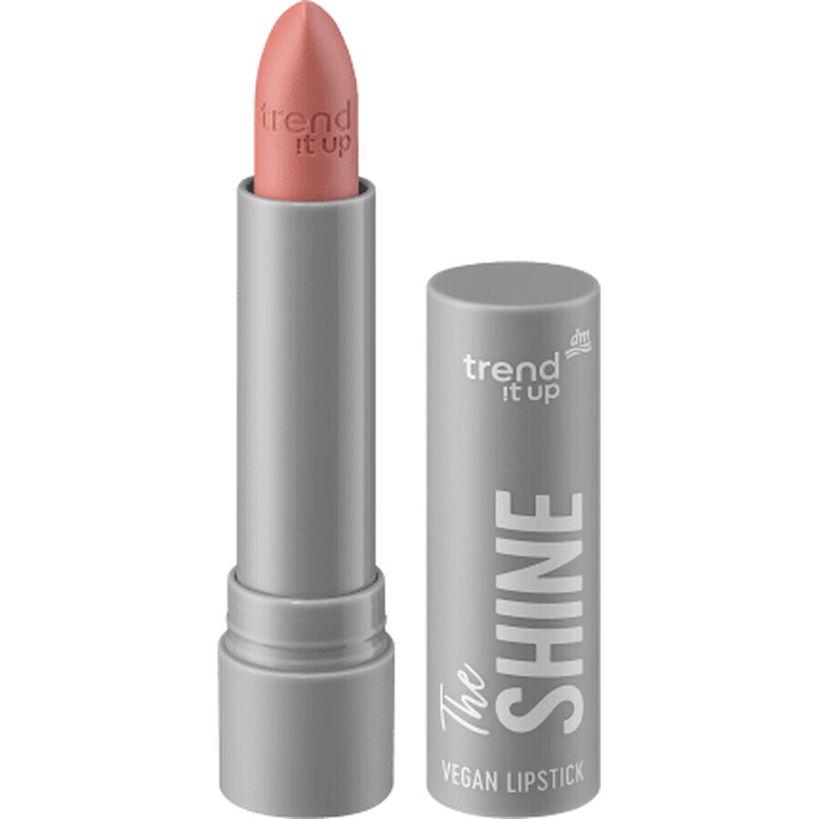 Winkel op Trend !t up The Shine Lipstick Nr.250, 3,8 g Trend !t up The Shine Lipstick Nr.250, 3,8 g