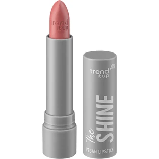 Trend !t up The Shine Lipstick No.290, 3,8 g