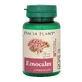 Emocalm, 60 tabletten, Dacia Plant