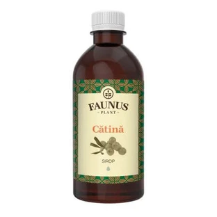 Sea buckthorn syrup, 500 ml, Faunus