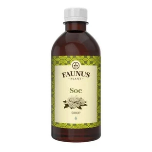 Elderberry syrup, 500 ml, Faunus