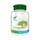 Ginkgobil, 100 capsules, Pro Natura