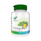 Ginkgobil, 100 capsules, Pro Natura