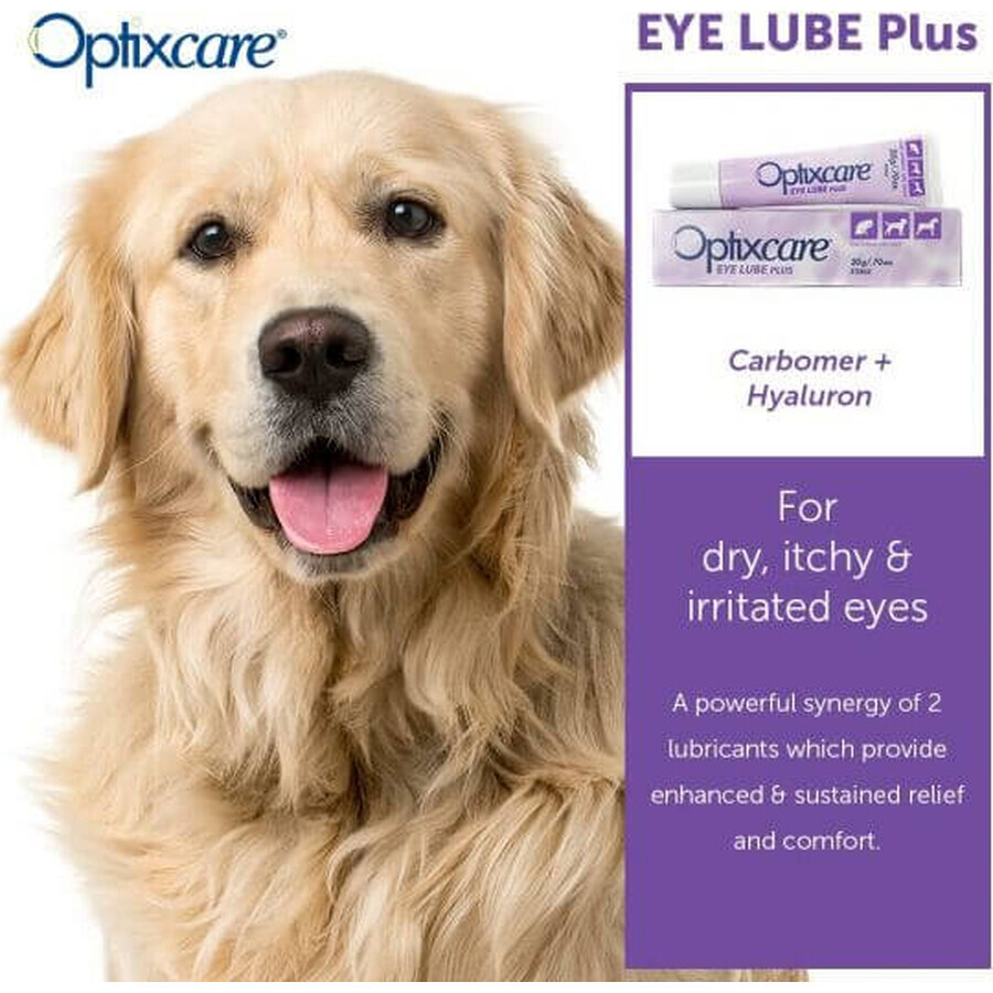 Optixcare Eye Lube Plus, 20 g 