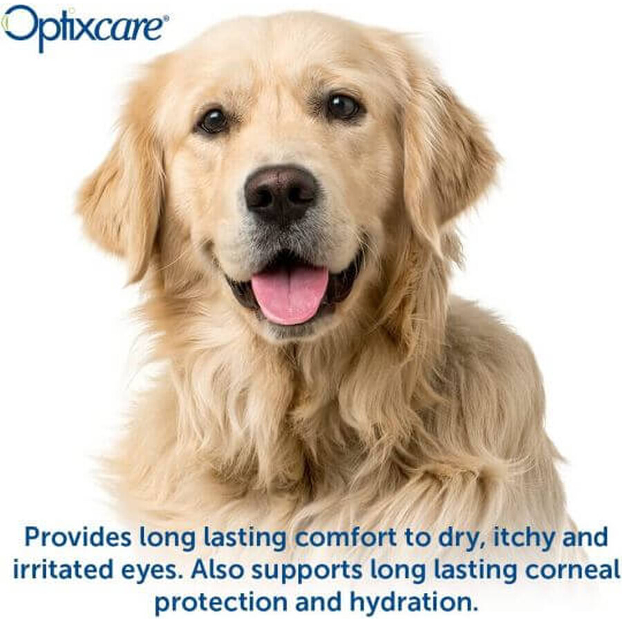 Optixcare Eye Lube Plus, 20 g 
