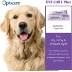 Ooggel Lube Plus, 20 g, Optixcare