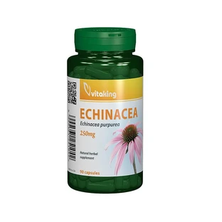 Echinacea-extract 250 mg, 90 capsules, Vitaking