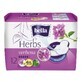 Absorbierende Kr&#228;uter Eisenkraut, 12 St&#252;ck, Bella