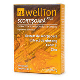 Cinnamon and ginseng extract Wellion, 30 capsules, Med Trust