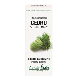 Zedernholzknospenextrakt, 50 ml, Pflanzenextrakt