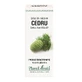 Zedernholzknospenextrakt, 50 ml, Pflanzenextrakt