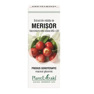 Extracto de yemas de arándano rojo, 50 ml, Plant Extrakt