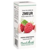 Extract van frambozenscheuten, 50 ml, Plant Extrakt