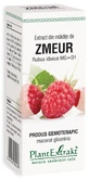 Extract van frambozenscheuten, 50 ml, Plant Extrakt
