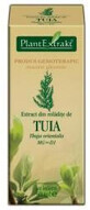 Mullein mladite estratto, 50 ml, Estratto vegetale