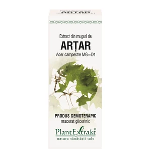Extrait de bourgeon d'érable, 50 ml, Plant Extrakt