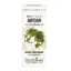 Extrait de bourgeon d'érable, 50 ml, Plant Extrakt