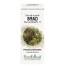 Extract of Brad buds, 50 ml, Plant Extrakt
