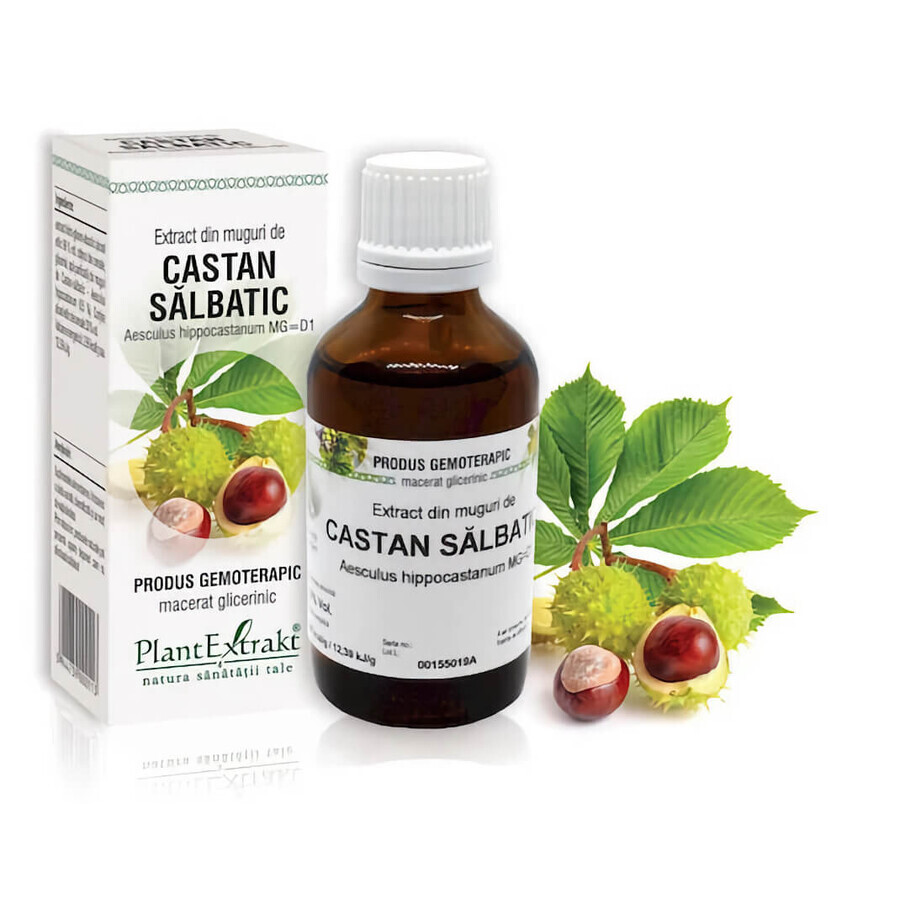 Wild Chestnut bud extract, 50 ml, Plant Extrakt