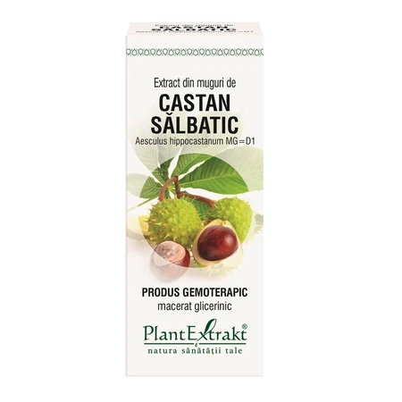 Wilde kastanjeknop extract, 50 ml, Plantenextrakt