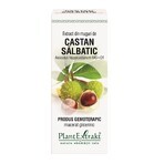 Wild Chestnut bud extract, 50 ml, Plant Extrakt Wild Chestnut bud extract, 50 ml, Plant Extrakt