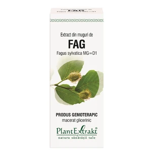 Extrait de bourgeon de hêtre, 50 ml, Plant Extrakt