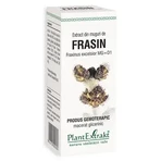 Frasin knop extract, 50 ml, Plantenextrakt