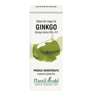 Ginkgo Biloba Knospenextrakt, 50 ml, Pflanzenextrakt