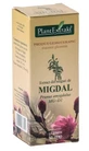 Extract from the buds of Migdal, 50 ml, Plant Extrakt