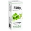 Extrait de bourgeon de plantain, 50 ml, Plant Extrakt