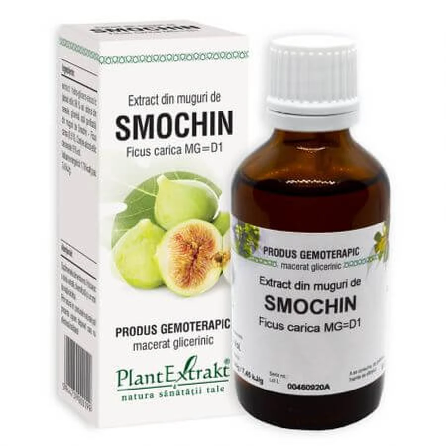 Vijgenknop extract, 50 ml, Plantenextrakt