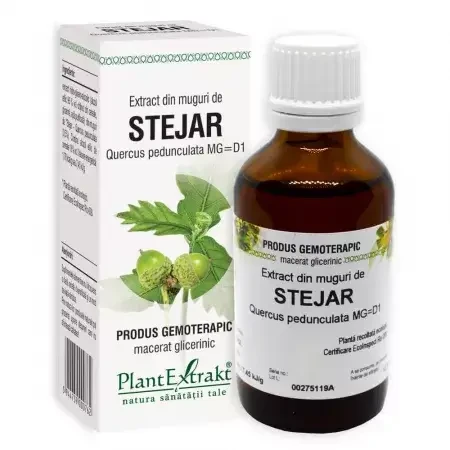 Eiken knop extract, 50 ml, Plant Extrakt
