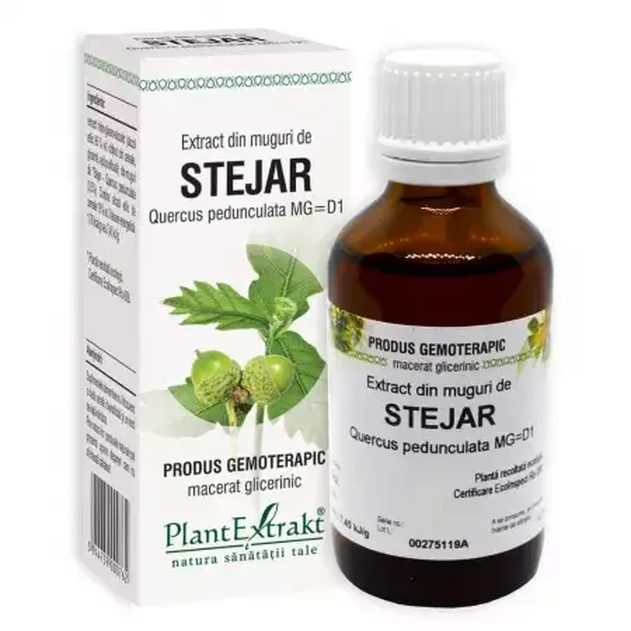Eiken knop extract, 50 ml, Plant Extrakt